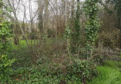 vente terrain a batir